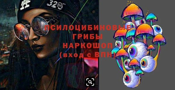 мдпв Арсеньев